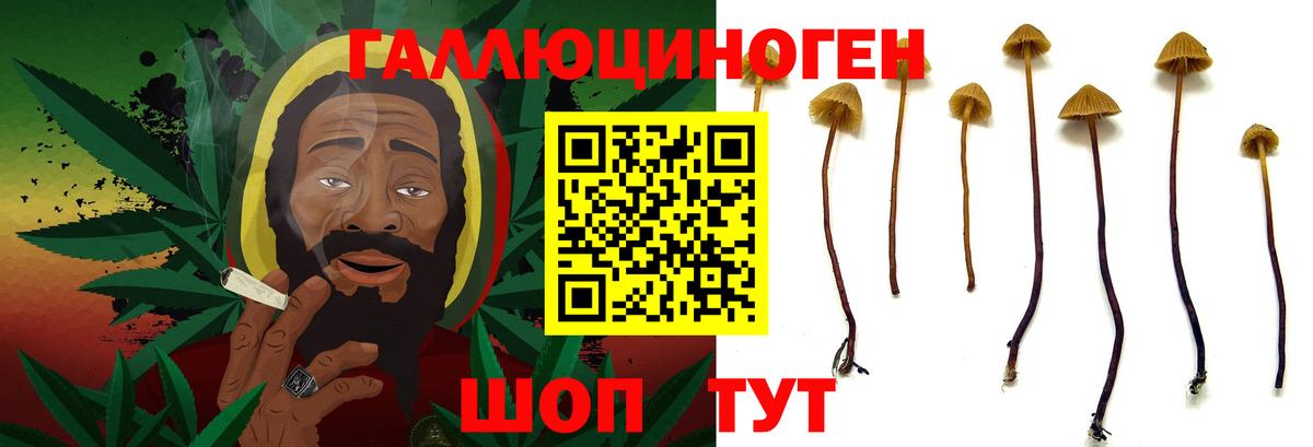Галлюциногенные грибы ЛСД  Вход с VPN  наркошоп  Тельмана 
